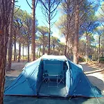 Basecamping Pula * Is Morus