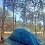 Campingplads Basecamping Pula