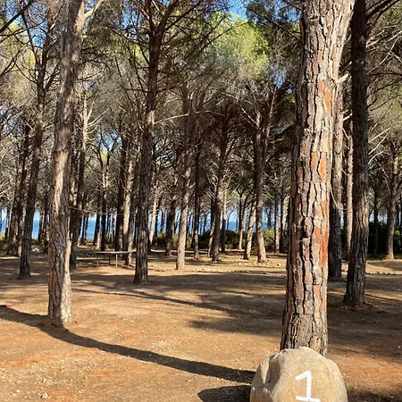 Basecamping Pula Szálloda *