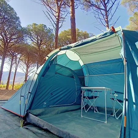 Basecamping Pula