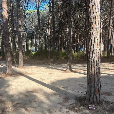Basecamping Pula *