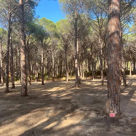 Basecamping Pula * Is Morus