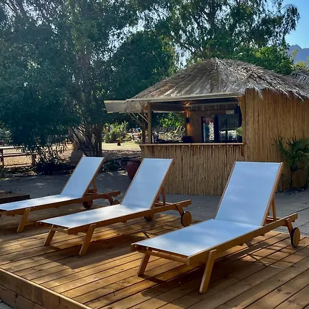 Campsite Basecamping Pula