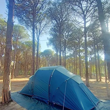 Hotell Basecamping Pula