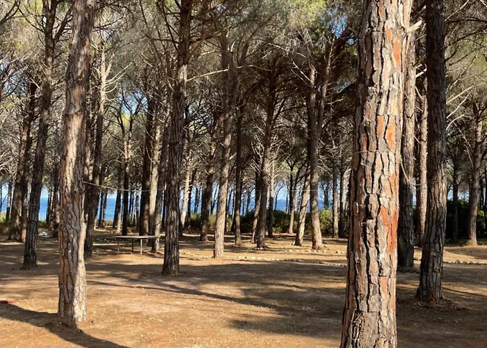 Basecamping Pula Hotel *