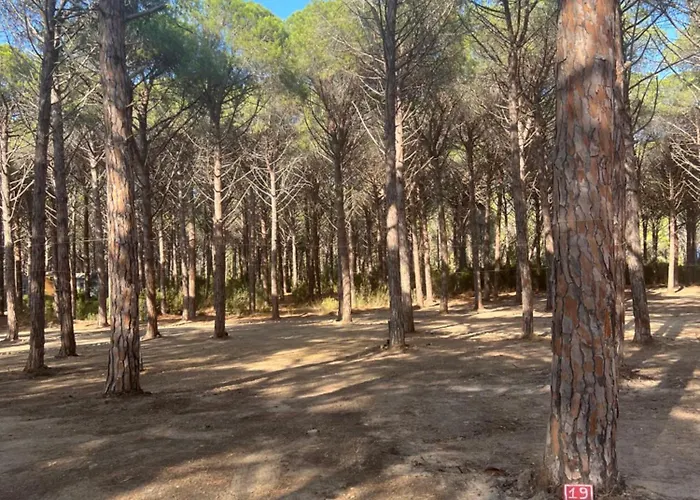 Basecamping Pula * Is Morus